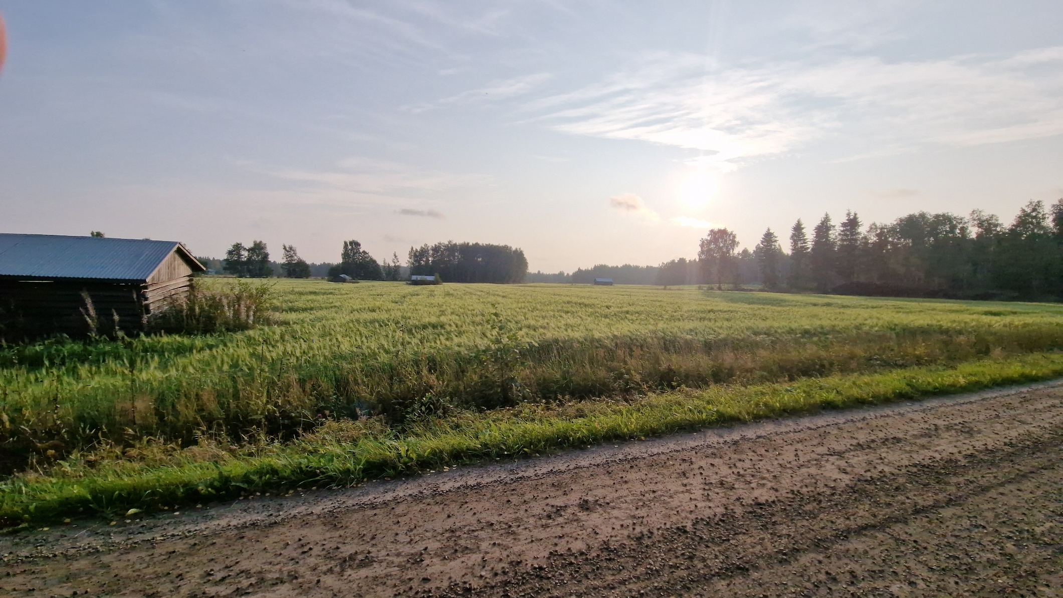 Mitä VSME-raportointi oikeastaan sisältää?